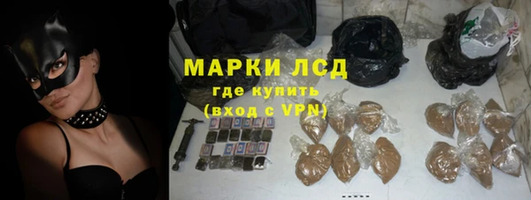 прущие грибы Семилуки