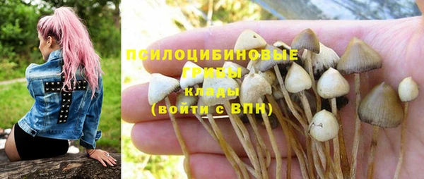 а пвп мука Арсеньев
