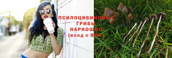 скорость Аркадак